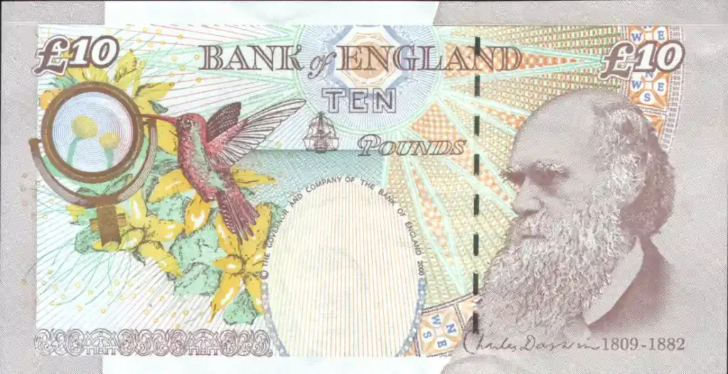 Charles Darwin Ten Pound Note rear